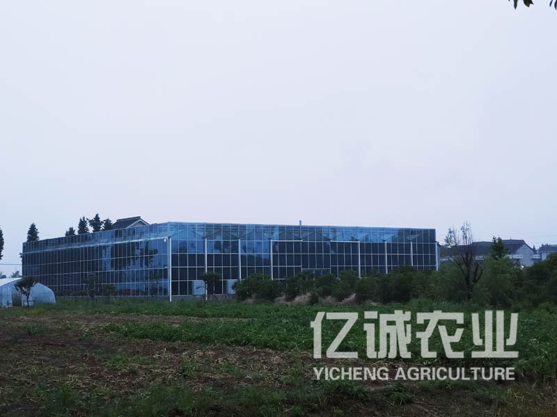 智能溫室大棚建設(shè)廠家選億誠 報價一鍵獲取 免費附贈建設(shè)方案